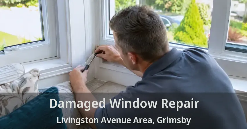 Damaged Window Repair Livingston Avenue Area, Grimsby - ON