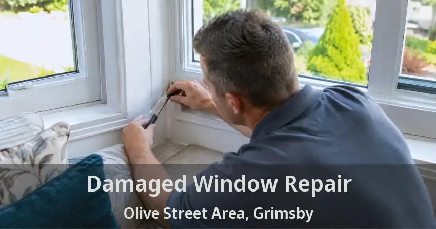Damaged Window Repair Olive Street Area, Grimsby - ON