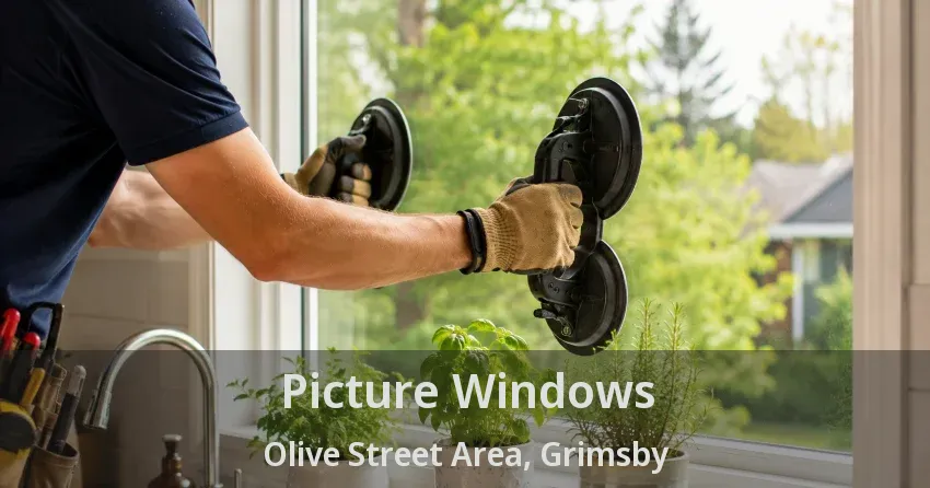 Picture Windows Olive Street Area, Grimsby - ON
