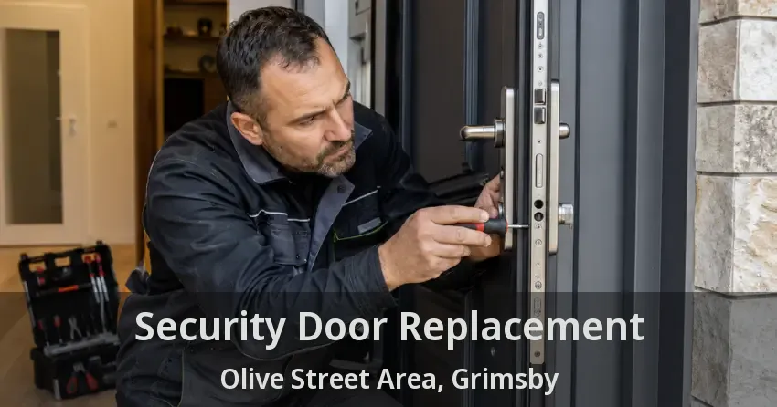 Security Door Replacement Olive Street Area, Grimsby - ON
